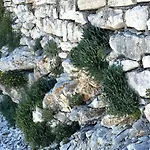 Tatil Evi Locanda Paxos 18Th Century Heritage Home With Seaview Gaios