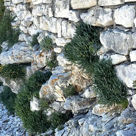 Feriehus Paxos 18th Century Heritage With Seaview Gaios